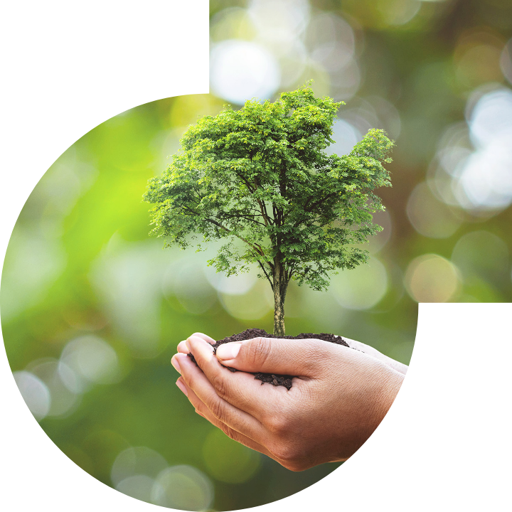 关怀人类、文化、环境与社会